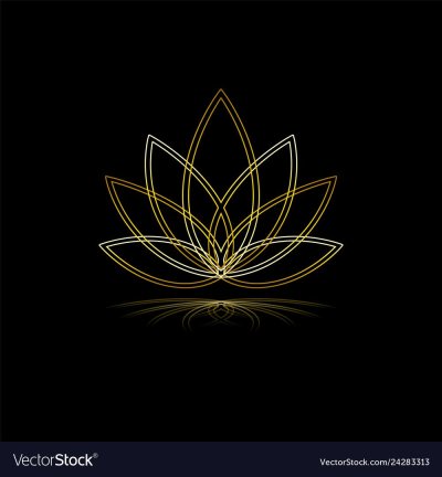 Лотос на черном фоне