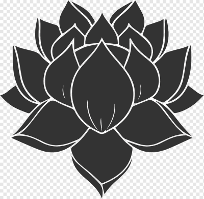 Лотус цветок вектор