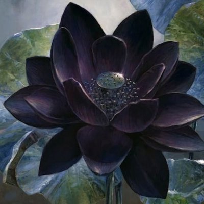 Черный Лотос Джорджия ОКИФФ