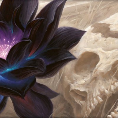 Black Lotus (черный Лотос)