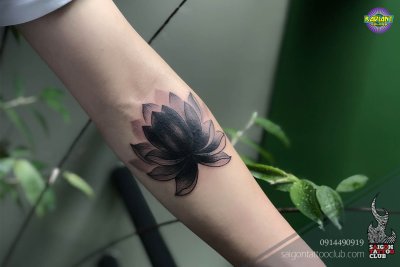 Черный Лотос в природе