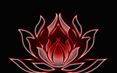 Красный четырехлепестковый Лотос