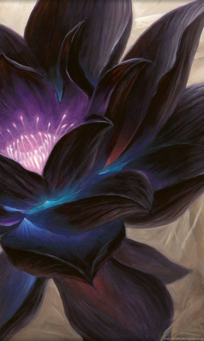 Черный Лотос МТГ