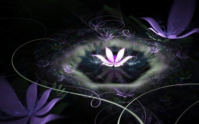 Черный Лотос цветок