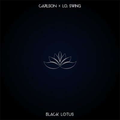 Лотос на черном фоне