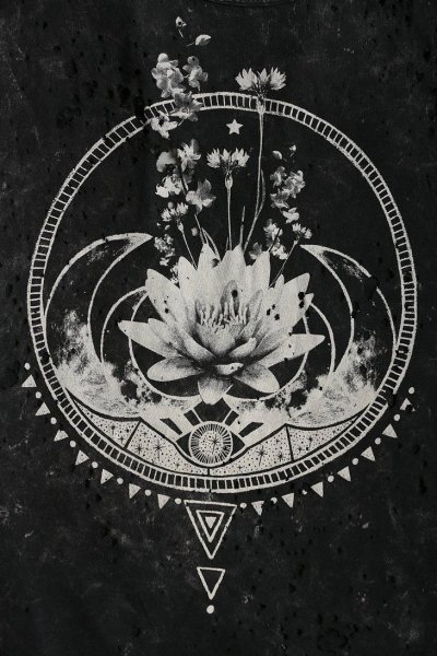 Лотос на темном фоне