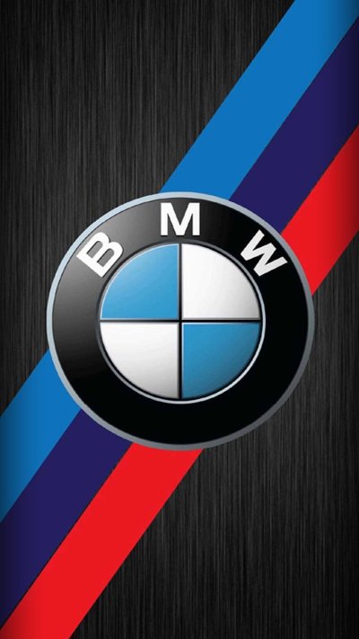 BMW logo 2000