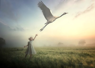 Одинокий журавль в небе