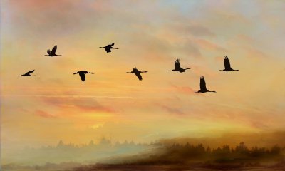 Журавлиный Клин Расул Гамзатов