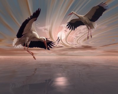 Журавль в небе