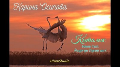 Кыталык Стерх