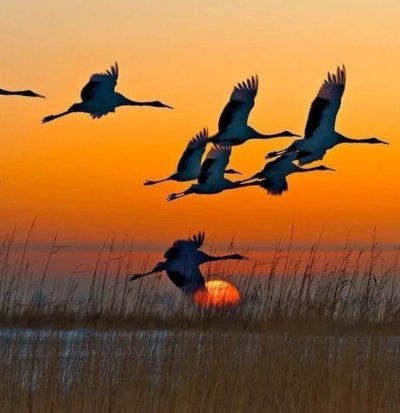 Журавлиный Клин осенью