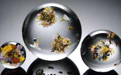 Шар с цветами внутри