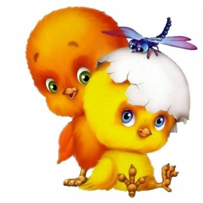 Цыпленок для детей
