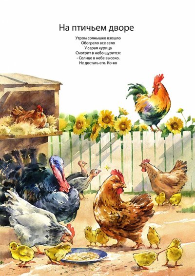 Иллюстрации домашних птиц