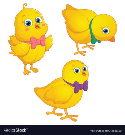 Цыпленок на прозрачном фоне