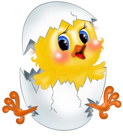 Цыпленок картинка для детей