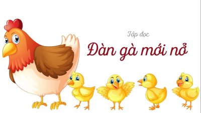 Цыпленок на прозрачном фоне