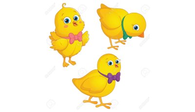 Цыпленок на белом фоне