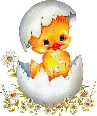 Яйцо цыпленок