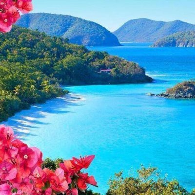 Цветы и море