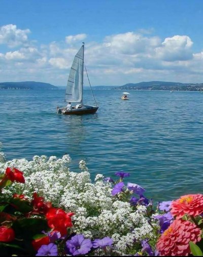 Букет цветов и море