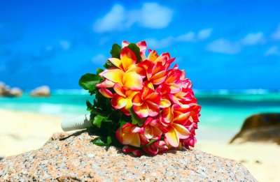 Тропические цветы