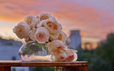 Нежный закат