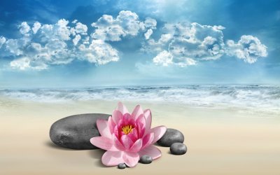 Цветы на фоне моря