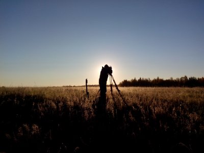 Геодезист Эстетика