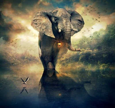 Летающий слон