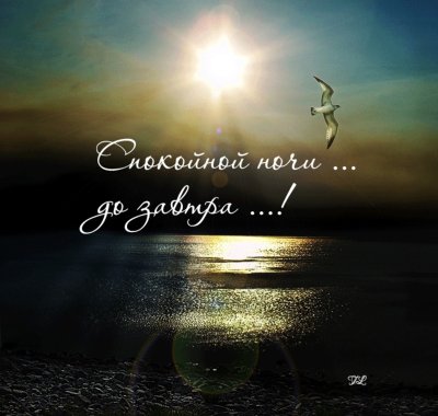 Открытки спокойной ночи мужчине