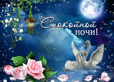 Открытки доброй ночи