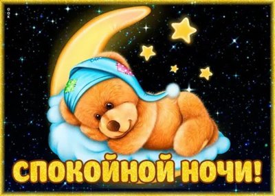 Спокойной ночи, Медвежонок!