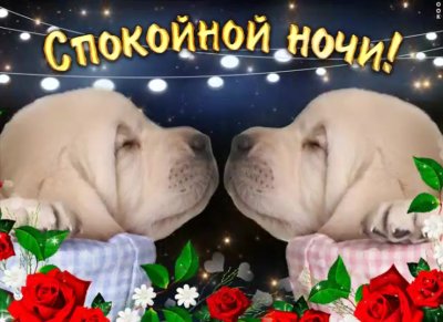 Доброй ночи сладких снов