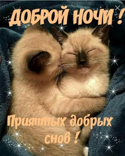 Доброй ночи сладких снов