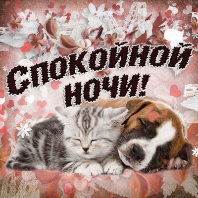 Открытки с пожеланием спокойной ночи