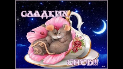Спокойной ночи сла дуих снов