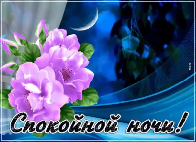 Открытки с цветами красивые