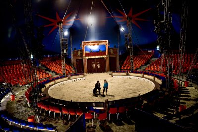Цирк шапито Арена