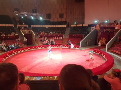 Пермский государственный цирк Арена