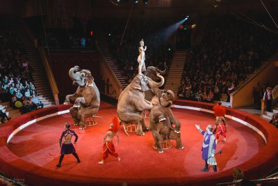 Цирк для детей