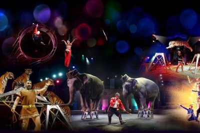 Цирк шапито внутри Арена