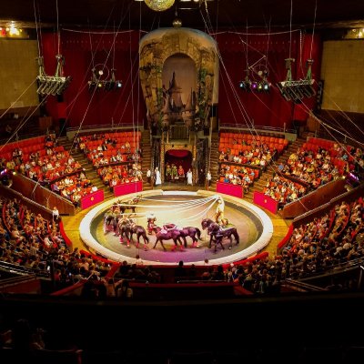 Брянский государственный цирк Брянск