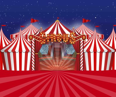 Сцена цирка