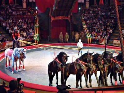 В цирке представление