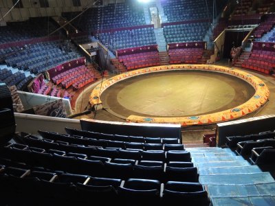 Цирк корона