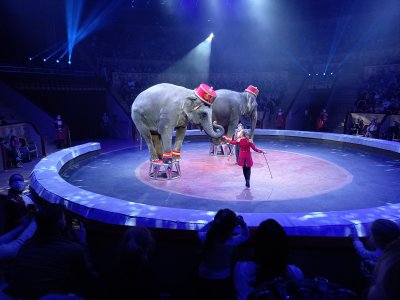 Цирк на Фонтанке