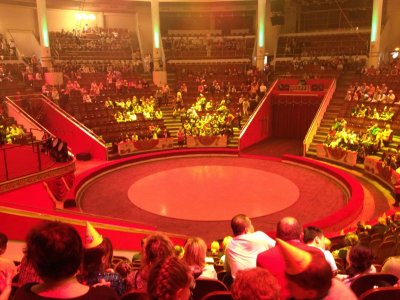 Трибуны в цирке