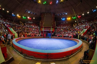 Цирк на Фонтанке СПБ